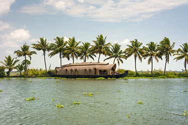 Beaches, Waterways, and Palaces by Private Jet: From Cochin to Goa